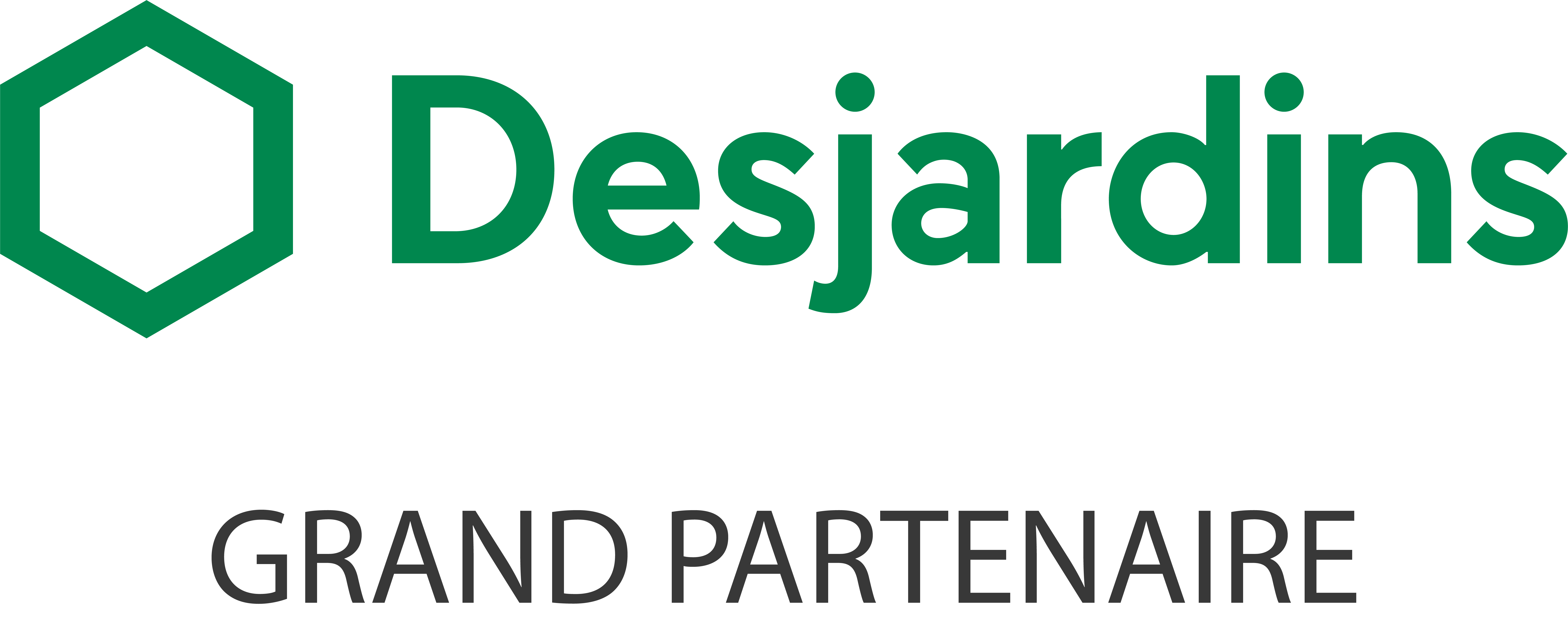Logo grand partenaire